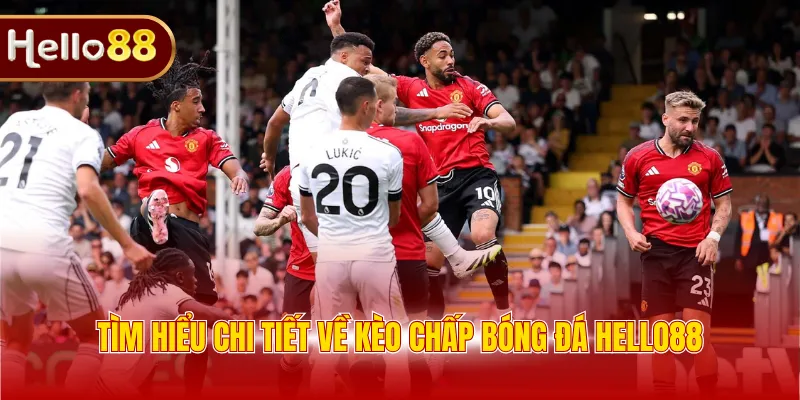 Tìm hiểu chi tiết về kèo chấp bóng đá Hello88 